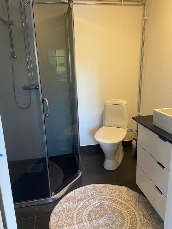 Koupelna v ubytování Holens B&B
