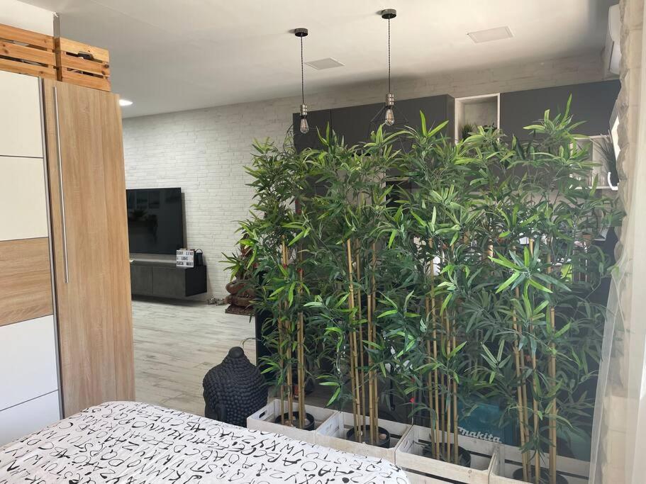 Postel nebo postele na pokoji v ubytování CASA MAUI
