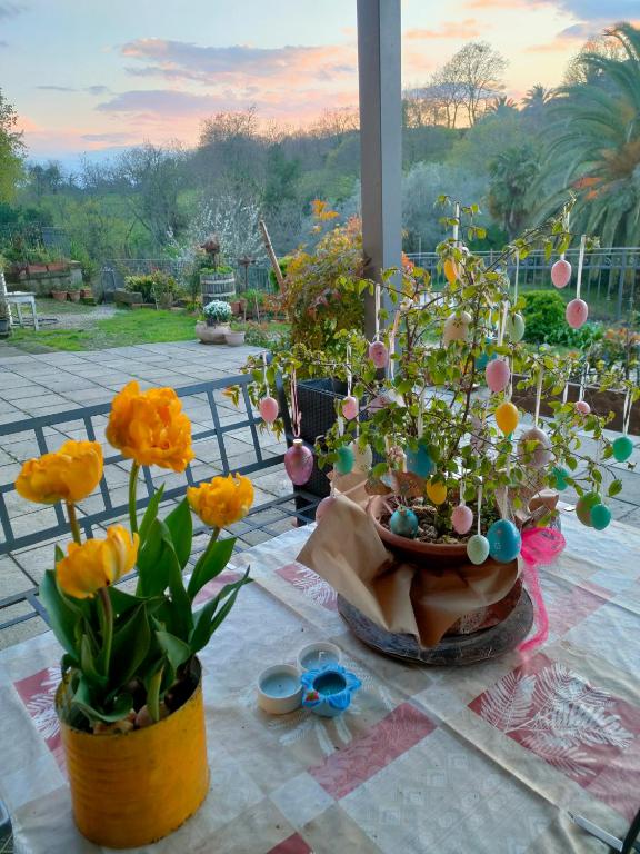 Zahrada ubytování Bio Agriturismo Il Cavone
