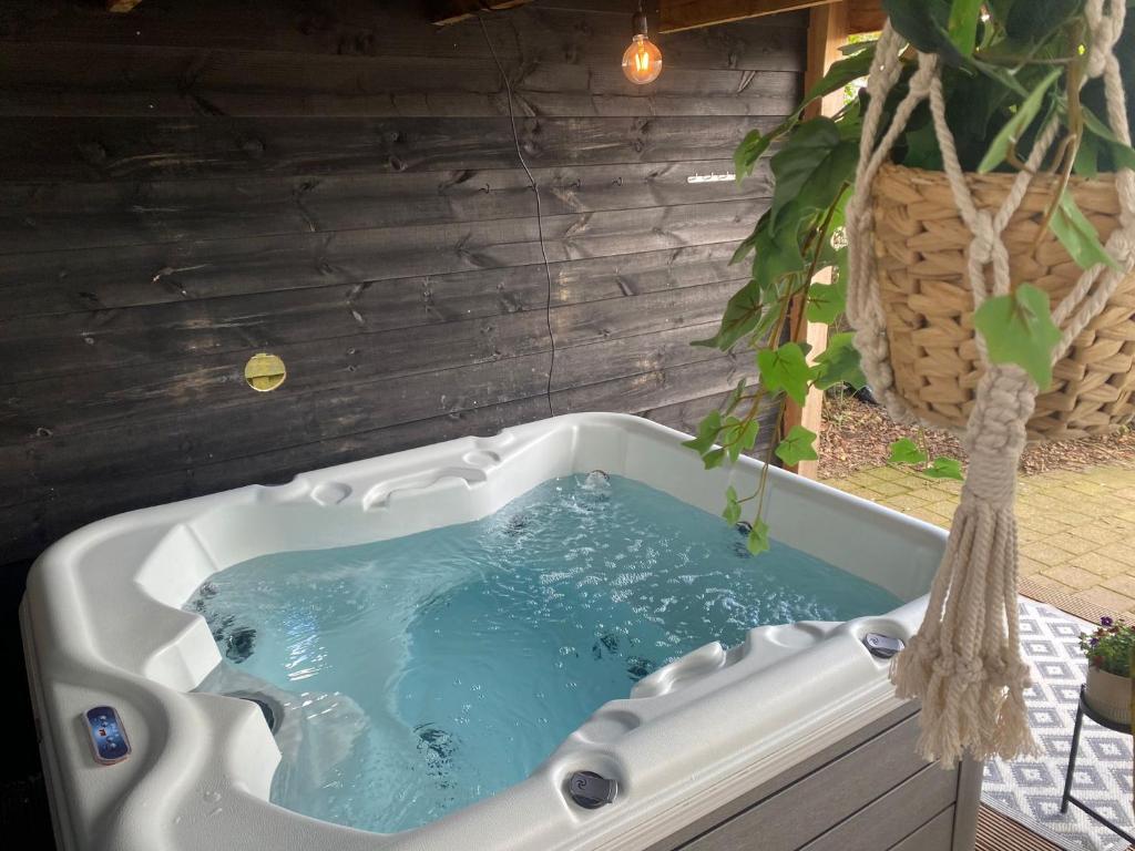 Huize bosland met jacuzzi, Anloo Updated 2023 Prices