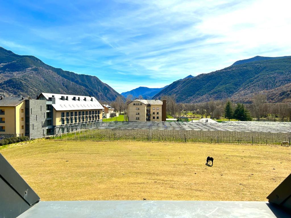 Príroda v okolí apartmánu