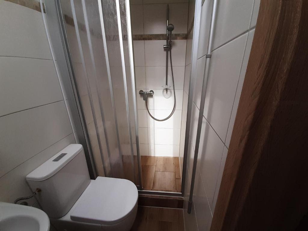 a small bathroom with a shower and a toilet at Bed and Breakfast 4 in Korswandt