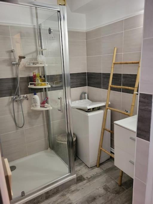 Kúpeľňa v ubytovaní Charmant appartement !