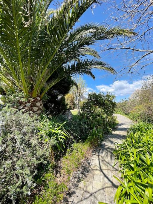 Vonkajšia záhrada v ubytovaní Les agapanthes - vue mer