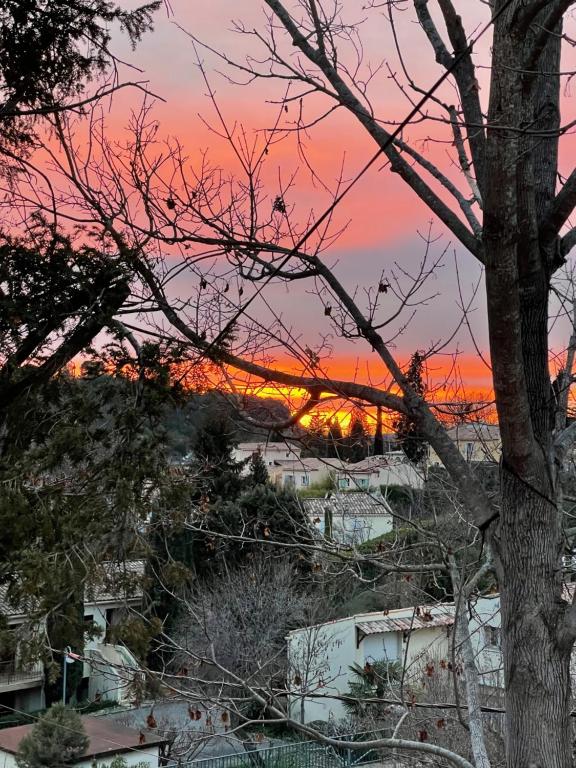 a sunset over a city with houses and a tree at Manoir d&#39;Amaury - Chambres d&#39;hôtes in Gréoux-les-Bains