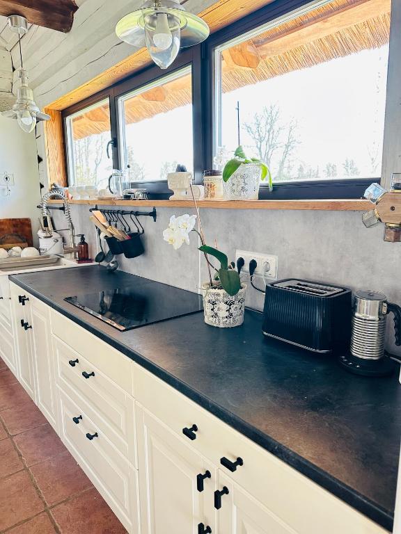 Kuchyň nebo kuchyňský kout v ubytování Kandimaa villa Saaremaal