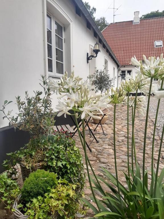 Zahrada ubytování Apartment in Danmark- Agernaesgaard Otterup