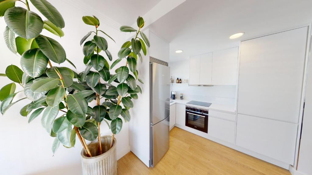Kuchyňa alebo kuchynka v ubytovaní El Dorado Marbella - Totally Renovated Apartment
