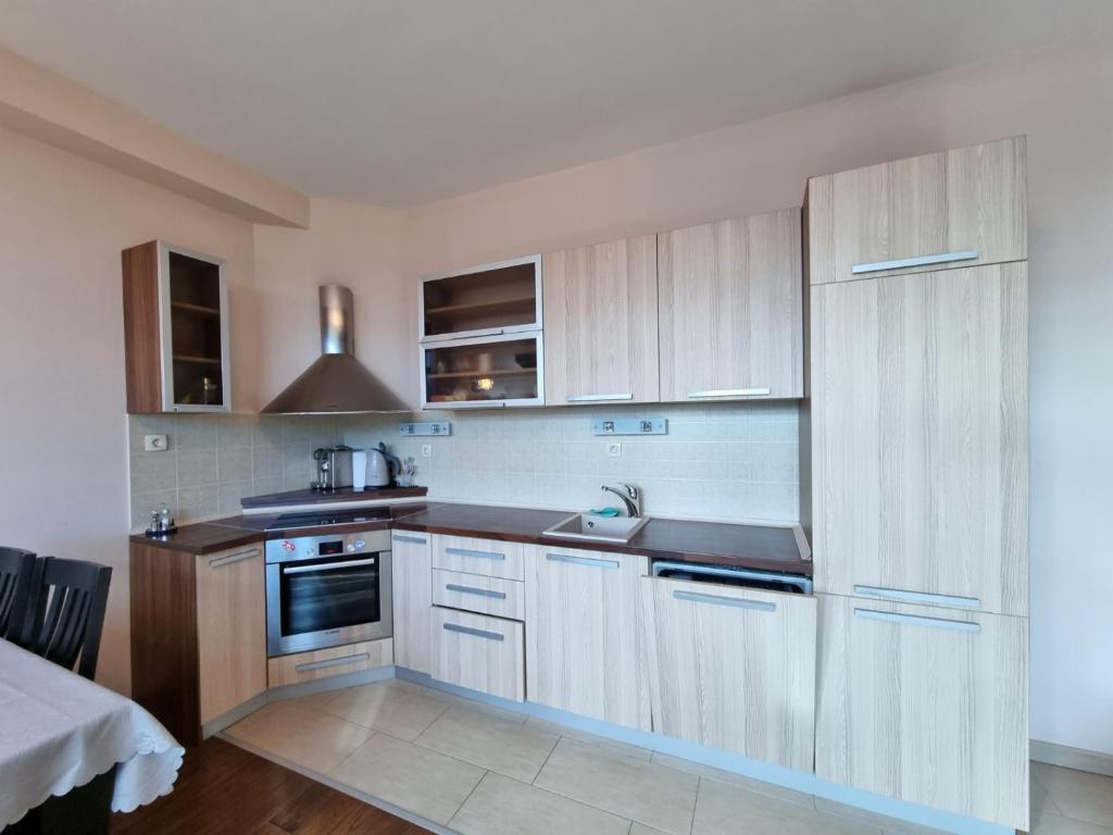 Kuchyň nebo kuchyňský kout v ubytování Bečiči -Big apartments