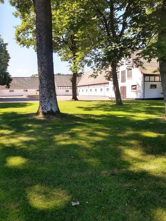 Zahrada ubytování Apartment in Danmark- Agernaesgaard Otterup