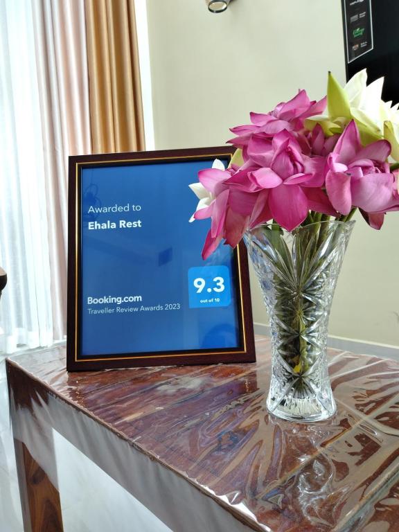 TV a/nebo společenská místnost v ubytování Ehala Family Rest