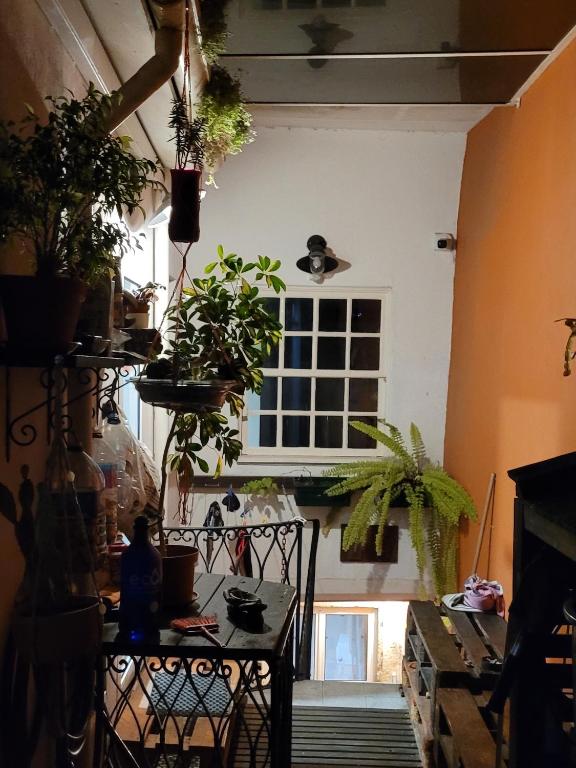 Fotografie z fotogalerie ubytování inBraga Hostel v destinaci Braga