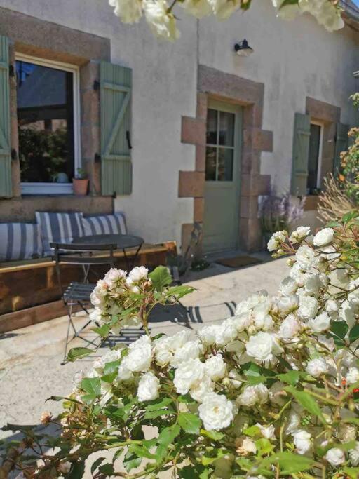 Fotografia z galérie ubytovania Charmante maison de bord de mer au cœur de Perros guirec v destinácii Perros-Guirec