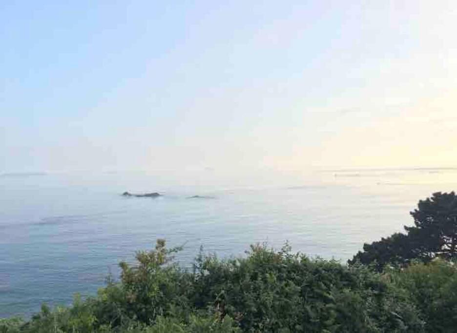 Zdjęcie z galerii obiektu Charmante maison de bord de mer au cœur de Perros guirec w mieście Perros-Guirec