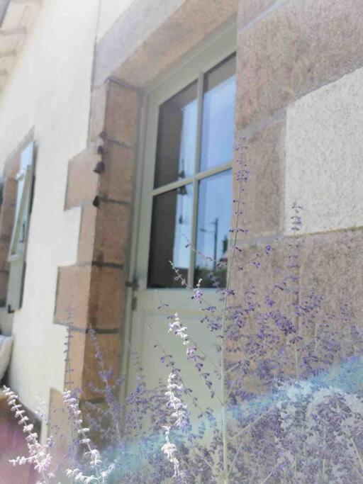 Fotografia z galérie ubytovania Charmante maison de bord de mer au cœur de Perros guirec v destinácii Perros-Guirec