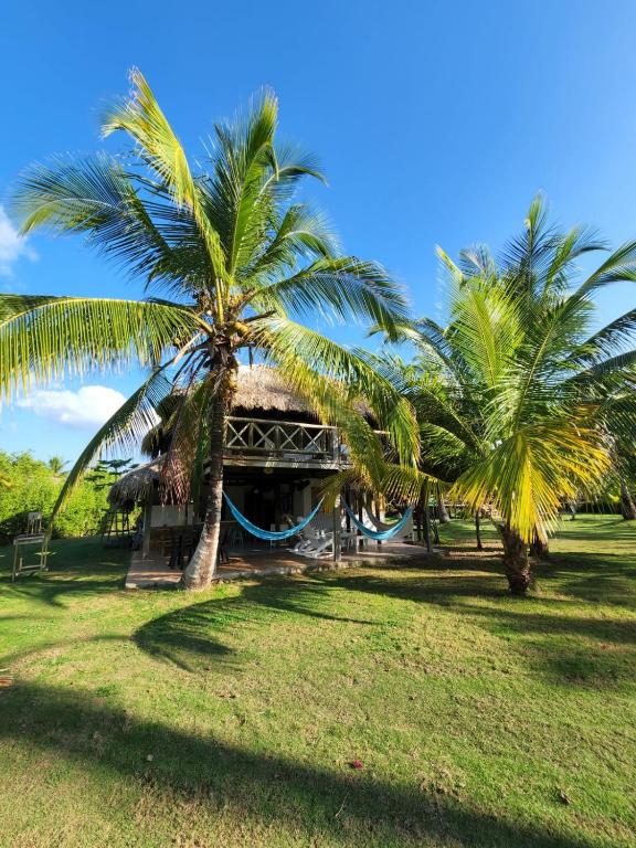 a building with two palm trees in a field at Cabana Ferrer in Notecebes