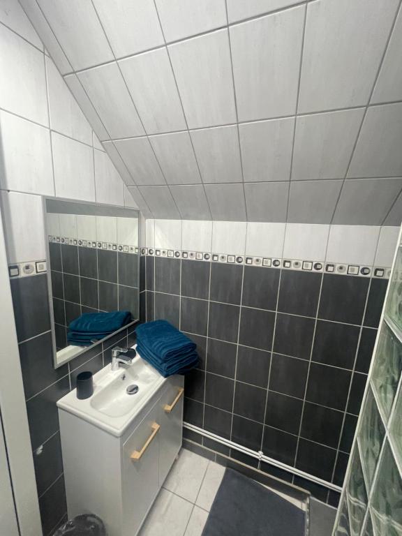 ein Bad mit einem Waschbecken und einem Spiegel in der Unterkunft L’escale proche château de chantilly in Précy-sur-Oise