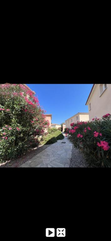 Vonkajšia záhrada v ubytovaní Appartement piscine 500m de la plage vue montagne