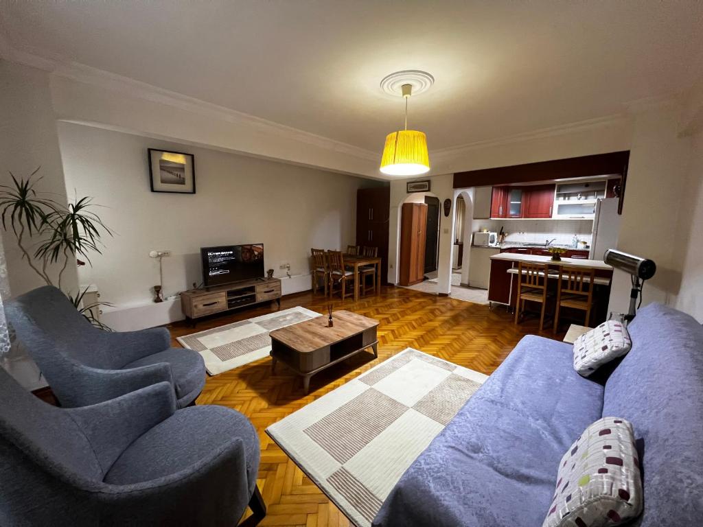 伊斯坦堡的住宿－Cozy Apartment in Kadikoy，一间带2张蓝色沙发的客厅和一间厨房