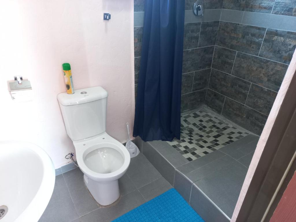 a bathroom with a toilet and a shower at Sweetwaters Guest House in Estcourt
