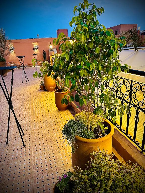 Zahrada ubytování Riad Soir De Marrakech
