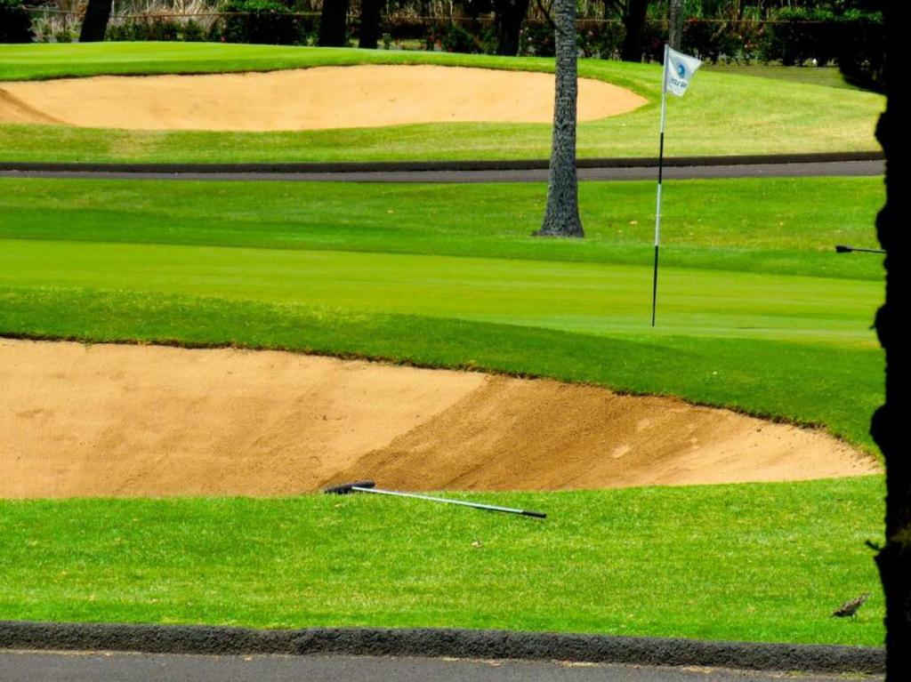 Golf v prázdninového domu nebo okolí