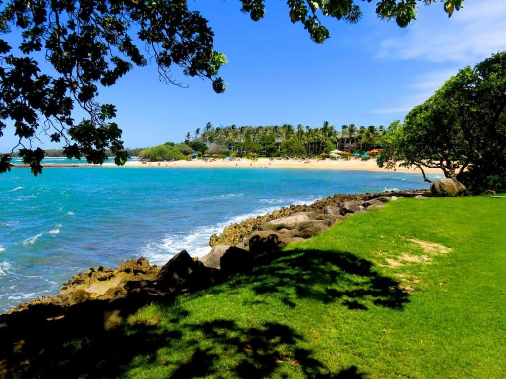 a beach with a grassy field and the ocean at Relaxing Turtle Bay townhome near the beach in Kahuku