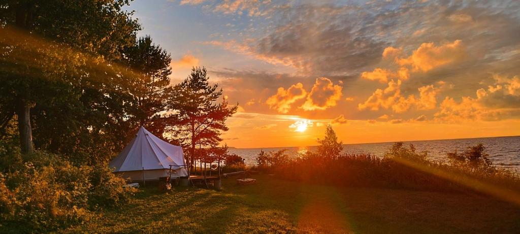 Příroda nedaleko luxury tent