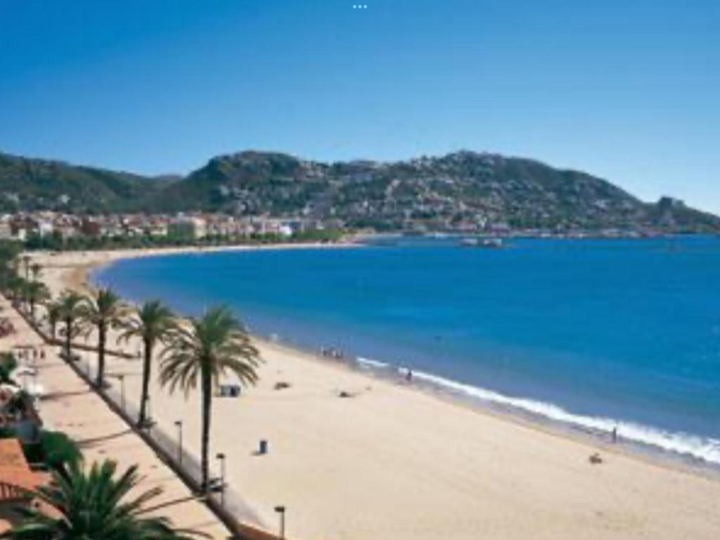 vistas a una playa con palmeras y al océano en BEL APPARTEMENT ROSES PLAGE, en Roses