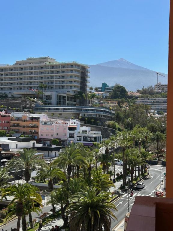 Fotografia z galérie ubytovania Céntrico con vistas al mar y el Teide v destinácii Puerto de la Cruz