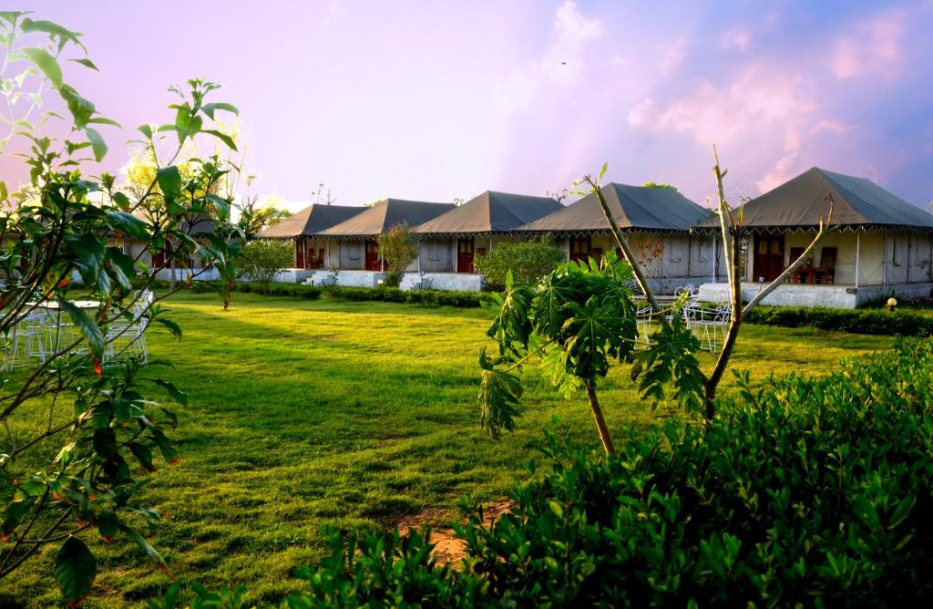 una casa con un campo verde delante de ella en Cattle Inn - Luxury Tents Pushkar, en Pushkar