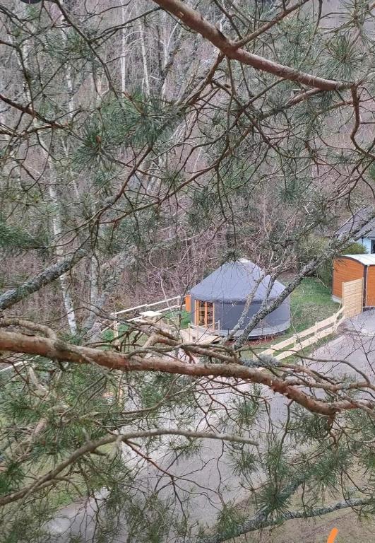 Příroda nedaleko luxury tent