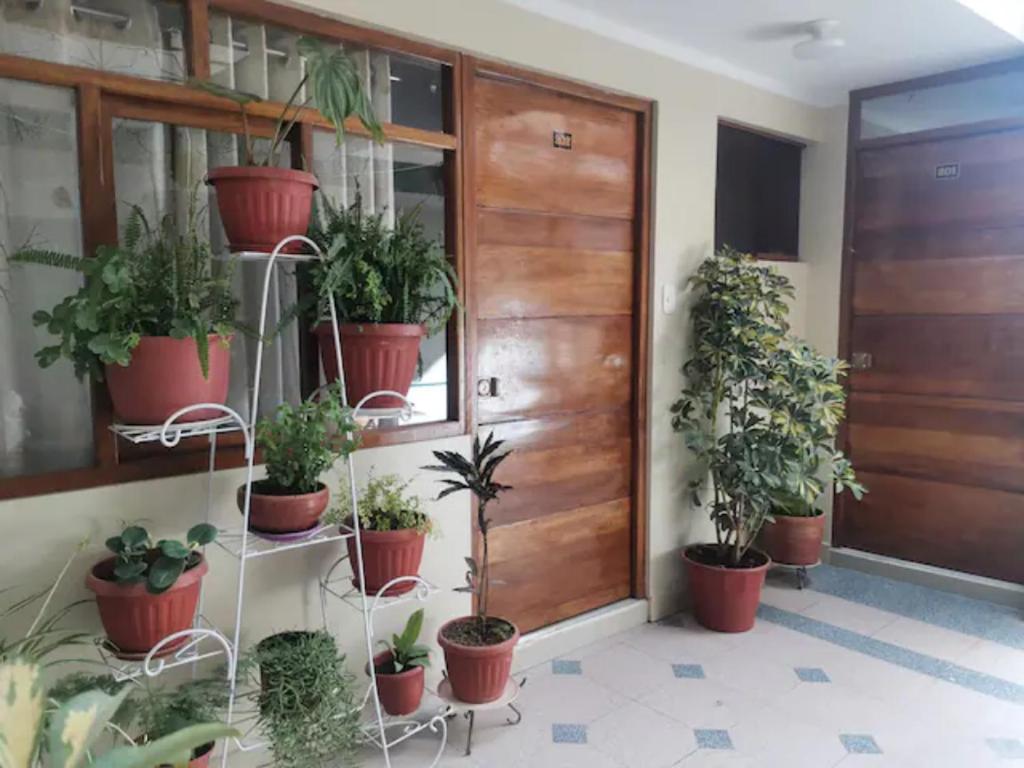 Zahrada ubytování Montafé Mirador