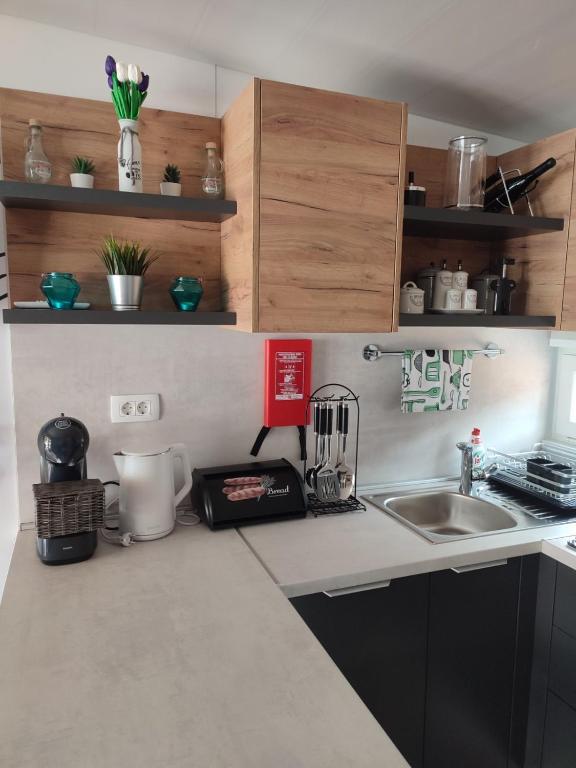 Kuchyň nebo kuchyňský kout v ubytování Mobile home Ami & Alen