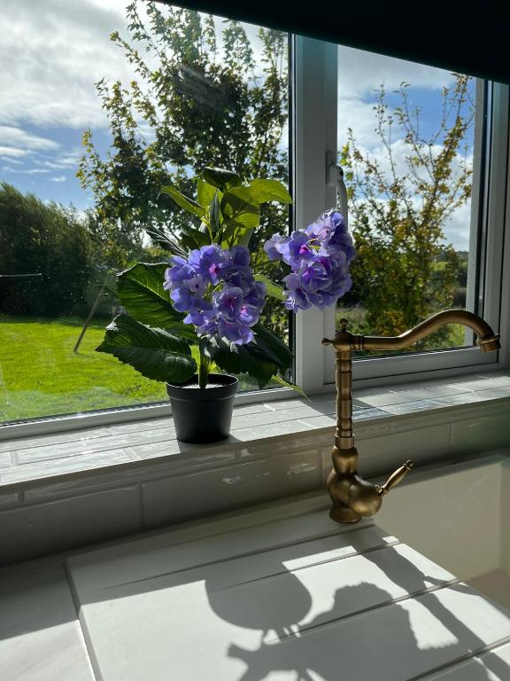 Zahrada ubytování Butterfly Guesthouse - Entire Home within 5km of Galway City
