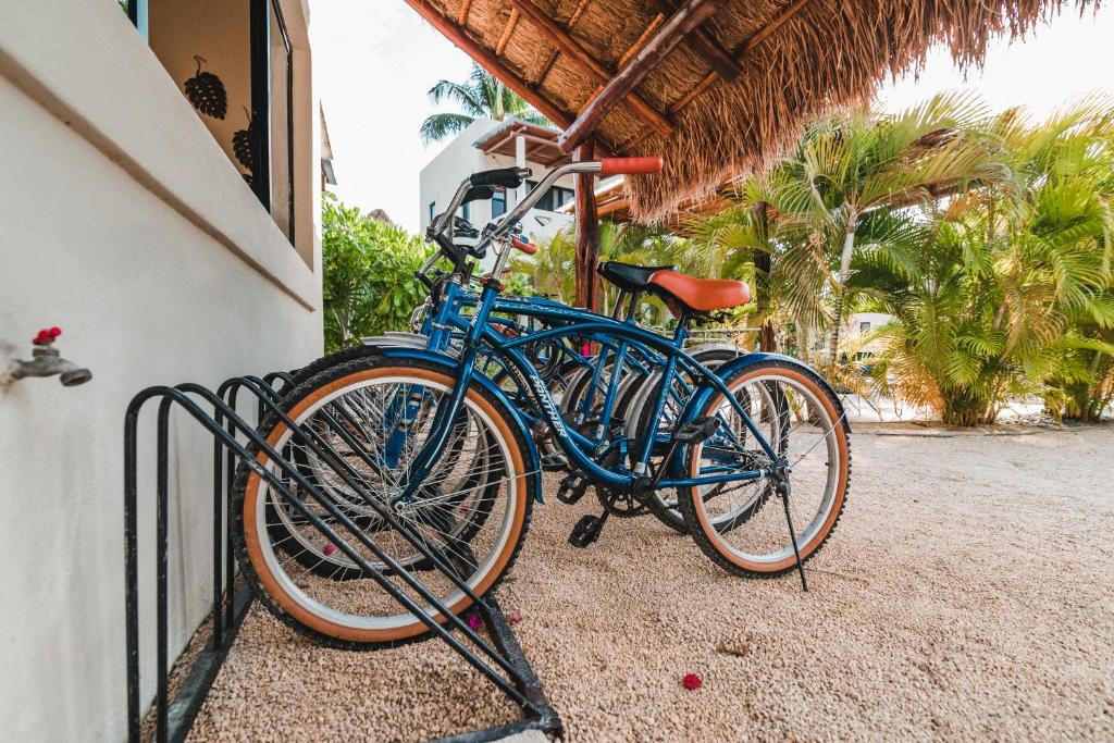 Jízda na kole v ubytování Blue Palm Bacalar nebo okolí