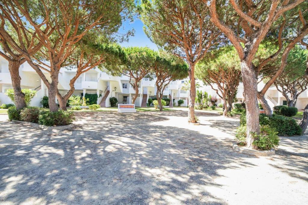 Zahrada ubytování MARIA DEL MAR SEA APARTMENT