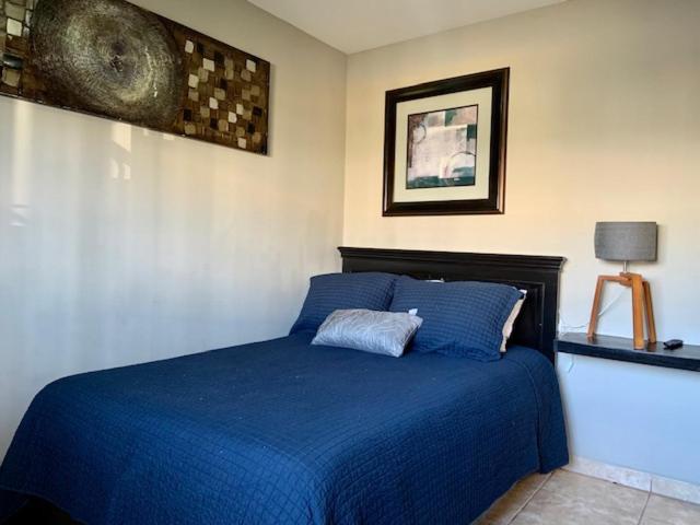 a bedroom with a blue bed in a room at soler 18 in Tijuana