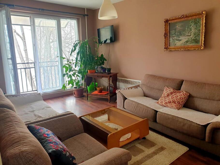 a living room with a couch and a coffee table at Olympia's apartment in Skopje