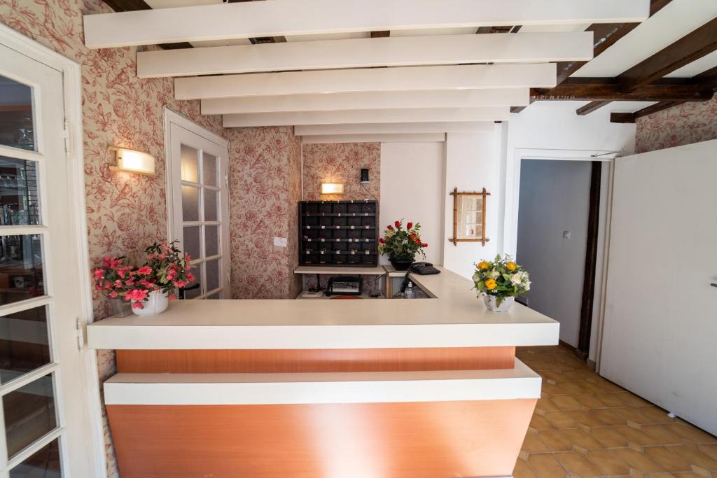 TV a/nebo společenská místnost v ubytování Céline hôtel le miridan