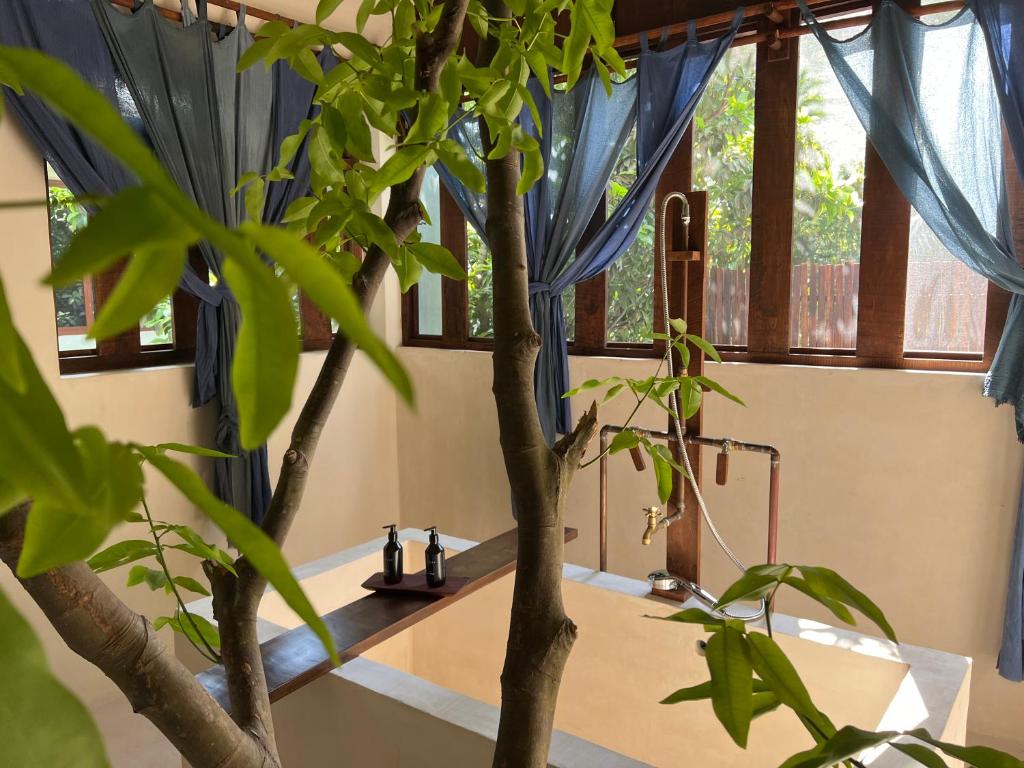 Zahrada ubytování Japoneza Retreat Centro