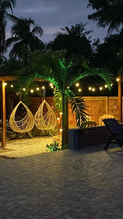 帕洛米諾的住宿－Hostal Grand Park Palomino，棕榈树和夜间带灯的吊床
