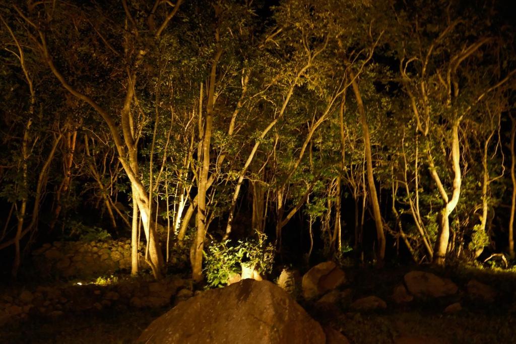 Fotografie z fotogalerie ubytování スナッパーロック 屋久島 v destinaci Jakušima