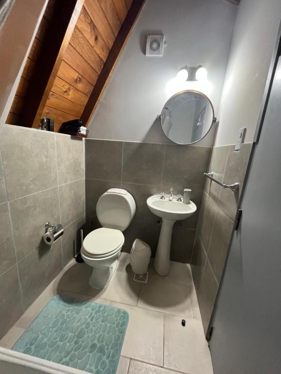uma casa de banho com um WC, um lavatório e um espelho. em del ANDINO.USH em Ushuaia