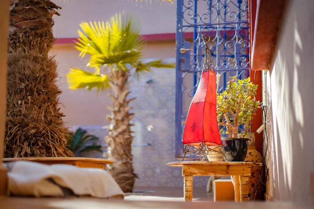 a small toy sailboat on a table next to a palm tree at Little Kasbah in Imsouane