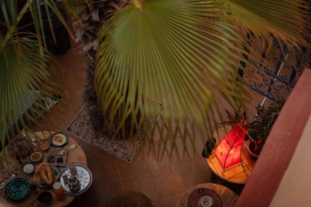 Fotografie z fotogalerie ubytování Little Kasbah Surf Camp Imsouane v destinaci Imsouane