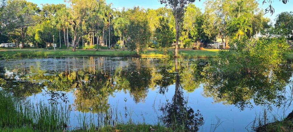AAOK Lakes Resort and Caravan Park في Berry Springs: بركة في حديقة فيها أشجار عاكسة في الماء