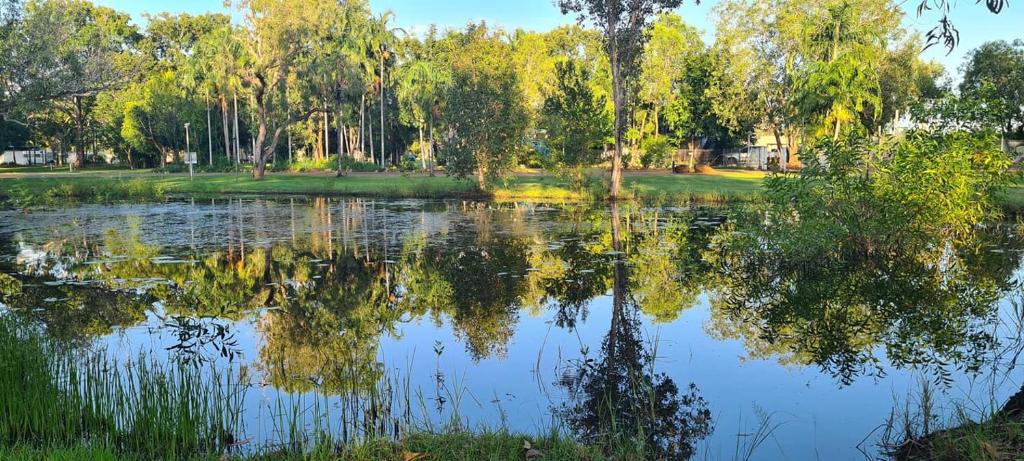 een vijver in een park met bomen die reflecteren in het water bij AAOK Lakes Resort and Caravan Park in Berry Springs