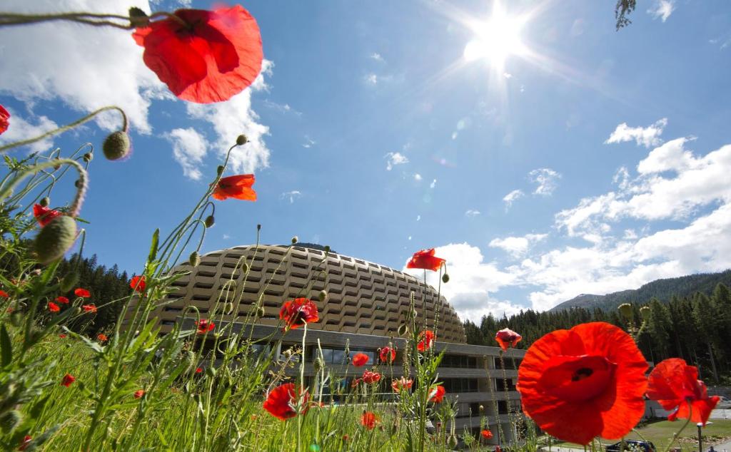 Aed väljaspool majutusasutust AlpenGold Hotel Davos