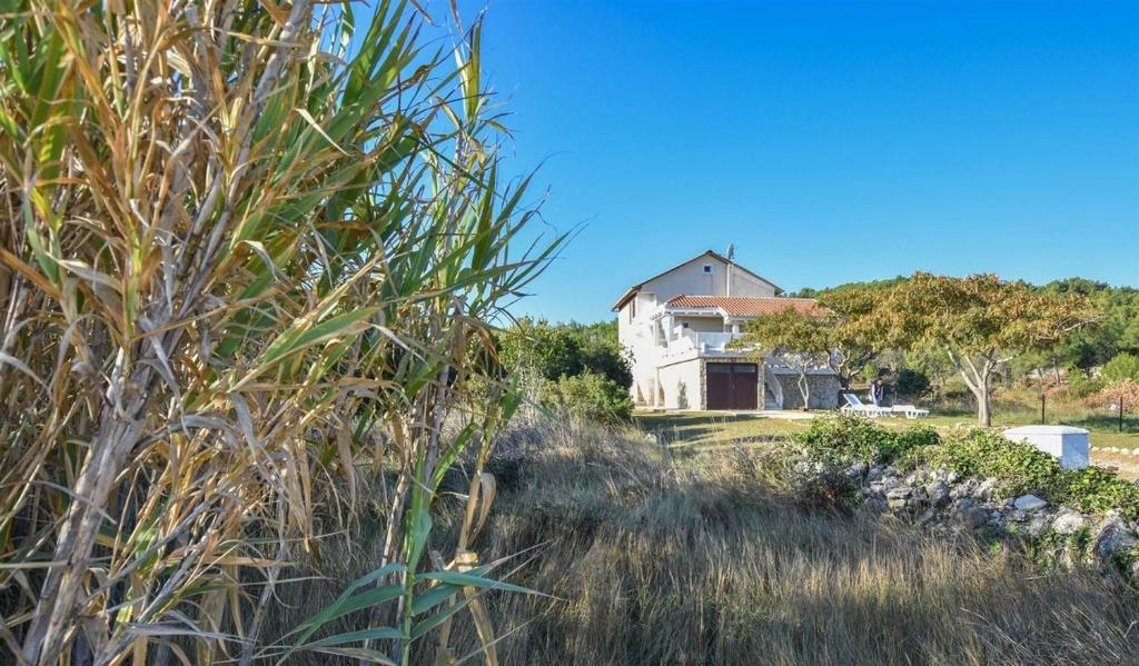a house is seen through the tall grass at Seaside holiday house Banj, Pasman - 21126 in Ždrelac